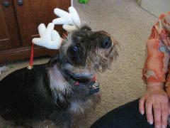 Xmas2006 - IMG_2178.jpg